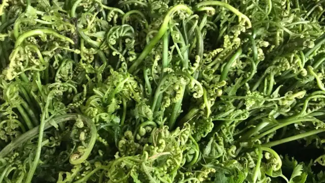 निहुरोको साग