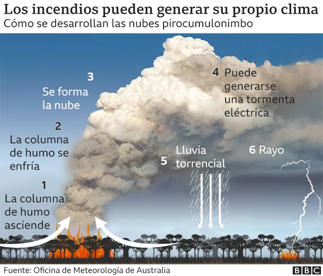 Gráfico sobre la formación de las nubes pirocumulonimbo.