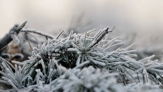 கடும் பனியில் உறைந்த காஷ்மீர்
