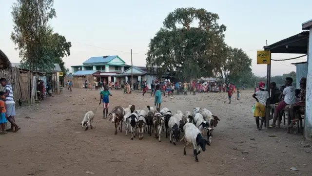 （图片来源：Dave Stamboulis）