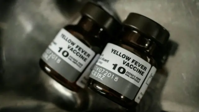 Пузырьки с вакциной от желтой лихорадки