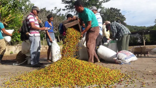 Время считать урожай