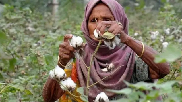મહિલા