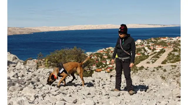 Panda i Andrea Pintar