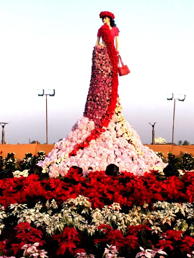 ફ્લાવર શો.