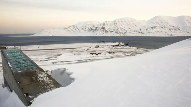 Всесвітнє сховище насіння