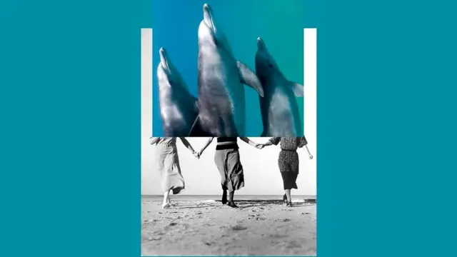 Некоторые из людей - настоящие эксперты в использовании эха для ориентации в пространстве, почти как дельфины