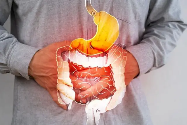 health, હેલ્થ, બીબીસી ગુજરાતી, પેટની બીમારી