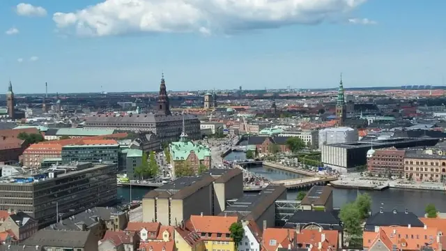 நியூசிலாந்து