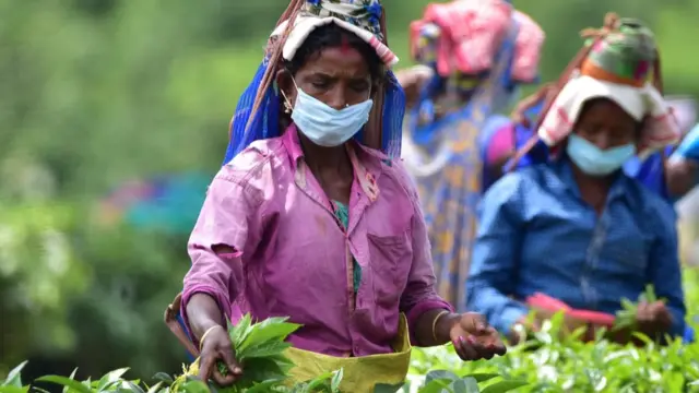 महिला किसान