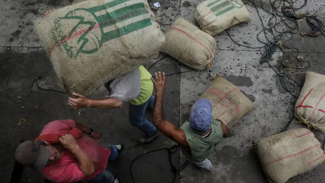 Trabajadores con sacos de café