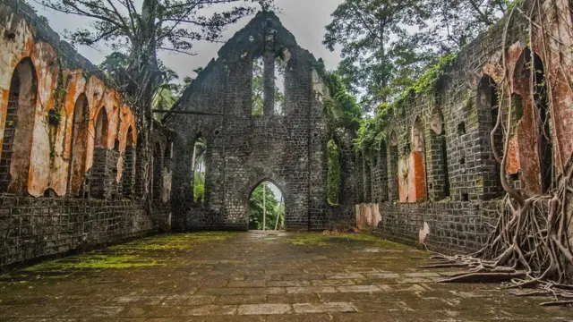 （圖片來源：Neelima Vallangi）