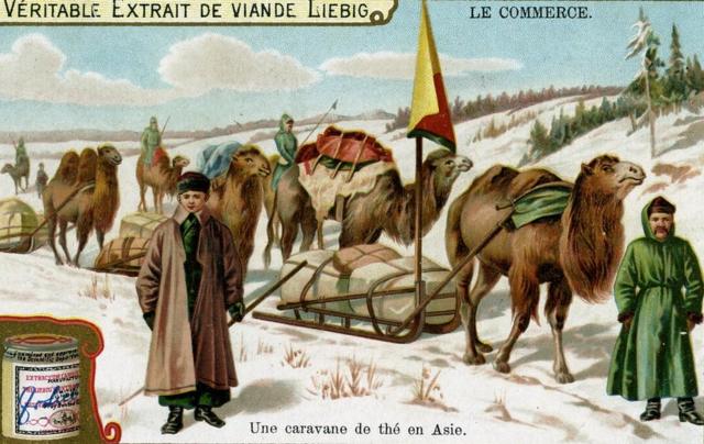 Carte postale d'une caravane à thé en Asie, vers 1900. Publicité française pour l'extrait de viande de Liebig.