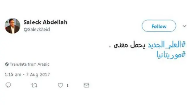 استفتاء موريتانيا
