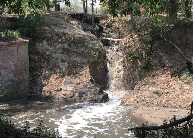 प्रदूषण से हर साल लाखों लोग मर रहे हैं, पर यह चुनावी मुद्दा नहीं है