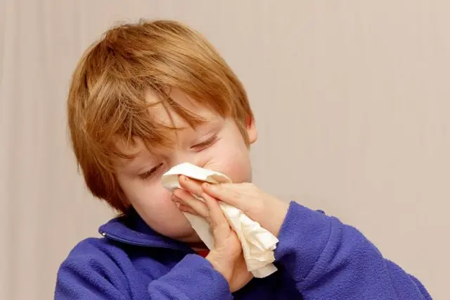 코피가 날 때는 고개를 앞으로 숙여야 한다