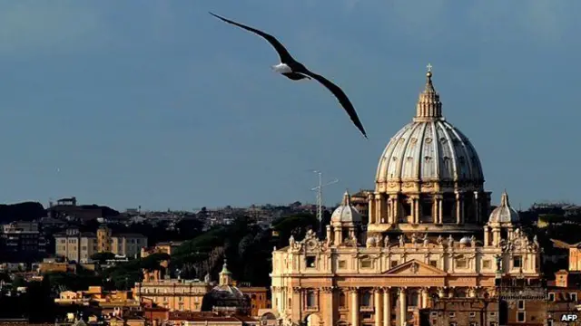 'போக்குவரத்து இரைச்சலால் ஆபத்தை உணர்த்தும் எச்சரிக்கை ஒலிகளை கேட்பதற்கு சிரமப்படும் பறவைகள்'