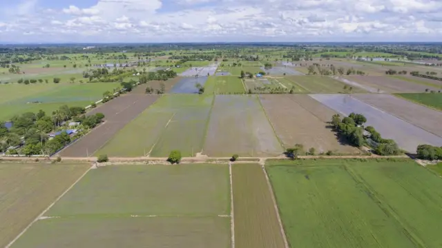 ผืนนาที่เรียบขนานอย่างเห็นได้ชัดจากมุมสูง