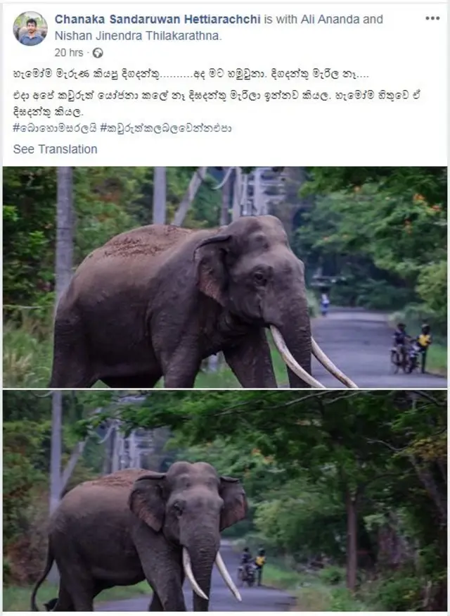 සමාජ ජාල ඔස්සේ පළ වූ ඡායාරූප