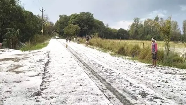 ओला वृष्टि