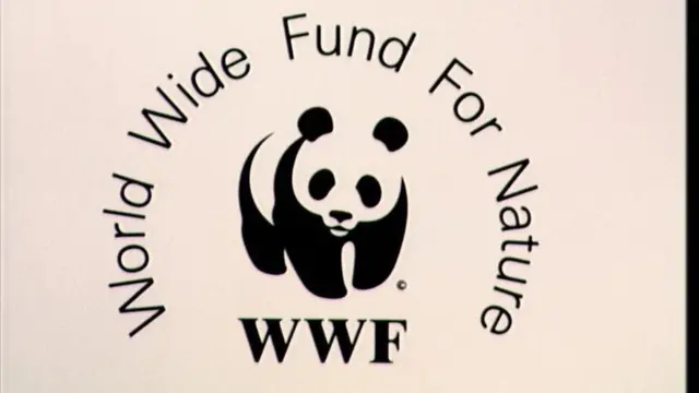 पर्यावरण समूह डब्ल्यू डब्ल्यू एफ़