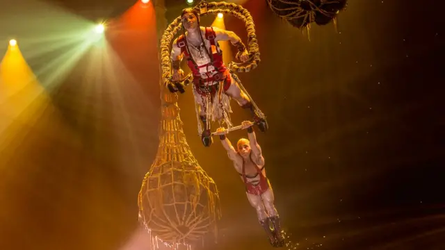 Сцена из шоу Le Reve