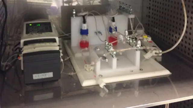 ఈ మినీ బయో రియాక్టర్‌లో జంతువుల కణాలను వృద్ధి చేస్తున్నారు