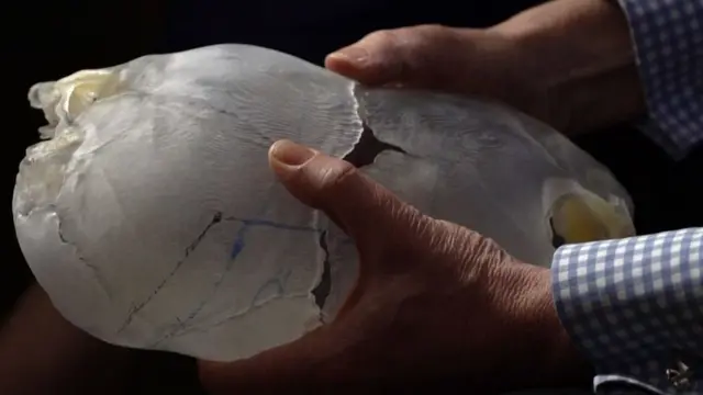 تھری ڈی ماڈل