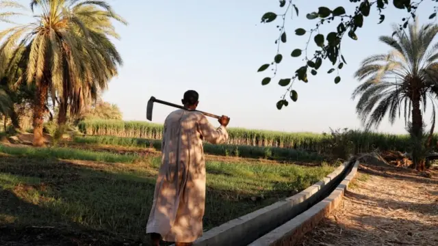 قرية في مصر