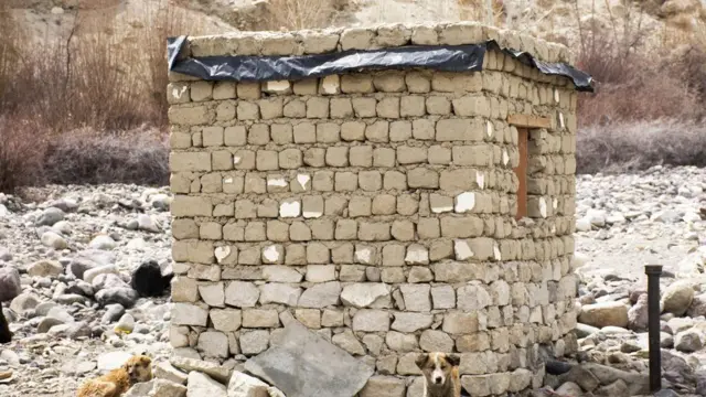 बिहार में हर घर बिजली-शौचालय का दावा कितना सच - फ़ैक्ट चेक