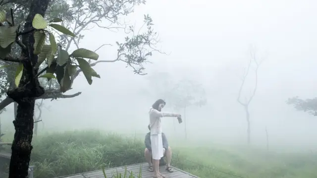 ทุ่งดอกกระเจียว จ.ชัยภูมิ