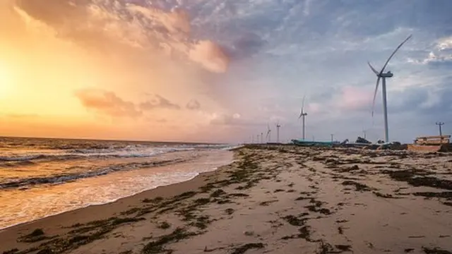 මන්නාරම් දූපත් සුළං බලාගාරය නොහොත් මන්නාරම සුළං ගොවිපළ යනු ශ්‍රී ලංකාවේ මන්නාරම දූපතේ දකුණු වෙරළ තීරයේ ඉදිකරන ලද මෙගාවොට් 100 ක සුළං බලාගාරයකි.