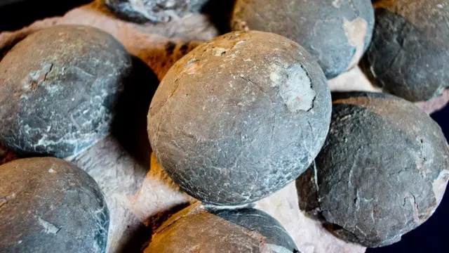 On pense que les dinosaures de l'Arctique auraient commencé à nicher au début du printemps, certaines espèces prenant jusqu'à six mois pour couver leurs œufs.