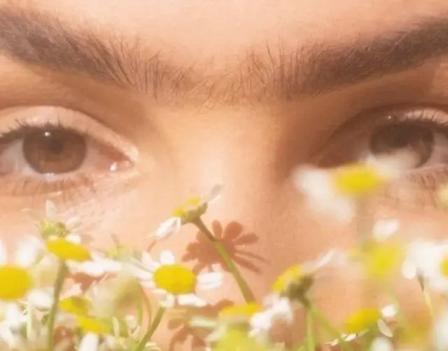 પ્રતીકાત્મક તસવીર