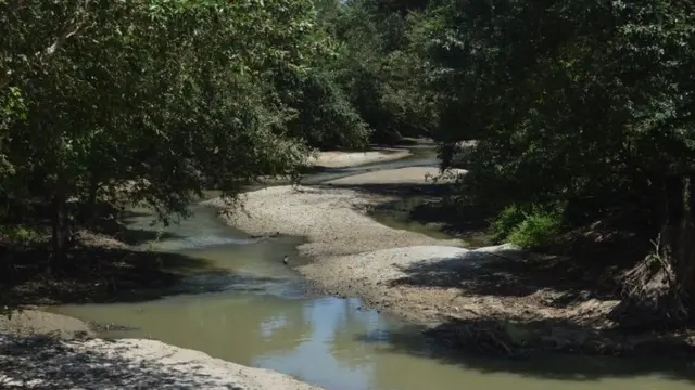 இலங்கையில் தொடரும் வறட்சி: 5 லட்சம் குடும்பங்கள் பாதிப்பு