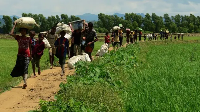 Des milliers de Royinga se sont réfugiés au Bangladesh à cause des exactions subies dans leur pays.