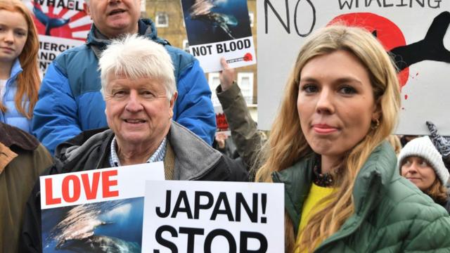 一月，西蒙兹和鲍里斯·约翰逊的父亲斯坦利·约翰逊一起参加在日本驻英国大使馆外举行的反捕鲸抗议