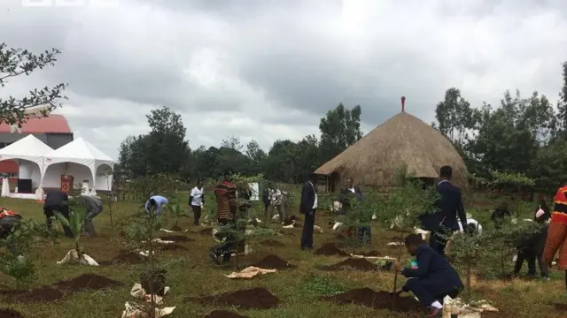 ፈልስታት ዝተኽሉ ሰባት