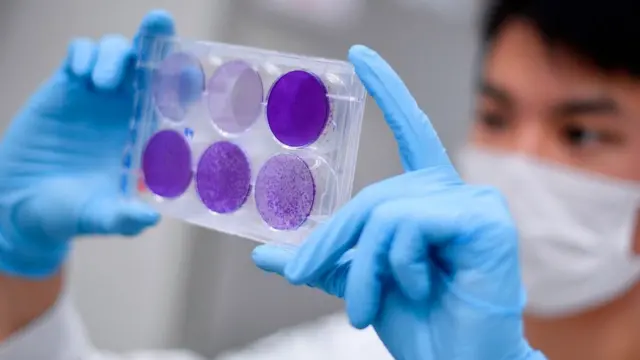 вакцина Covid-19