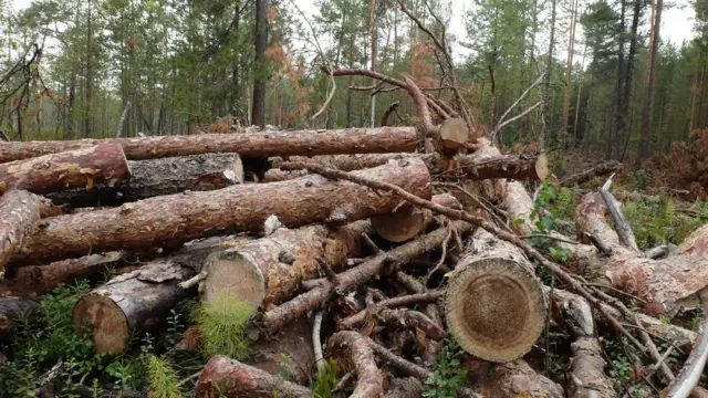 Углублённое изучение — порно рассказ