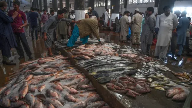 کراچی فشریز میں تازہ پکڑی گئی مچھلیاں نیلامی کے لیے رکھی ہیں