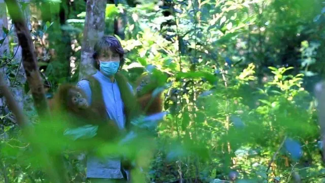 காடுகளிலிருந்து மனிதர்களுக்கு நோய் பரவுகிறது