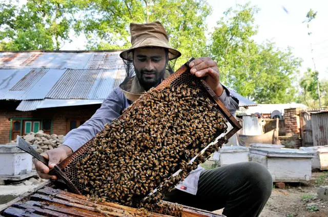 મધના ફાયદા