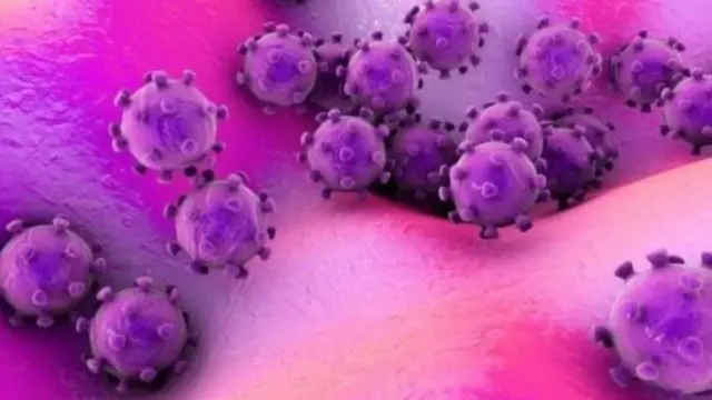 कोरोनाभाइरस