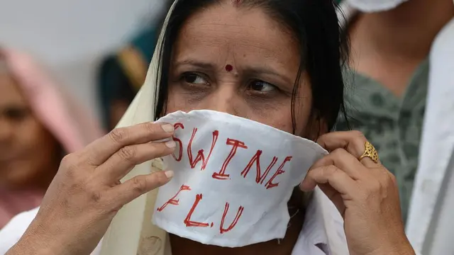 સ્વાઇન ફ્લૂ