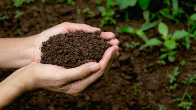 Descubre cómo hacer compost en tu jardín