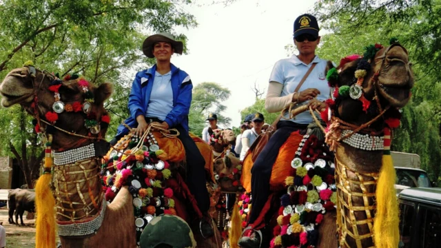 ઊંટ પર સવાર બીએસએફની સૈનિકો