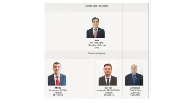 Схема Інтерпол