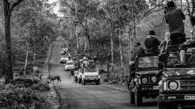 world photography day