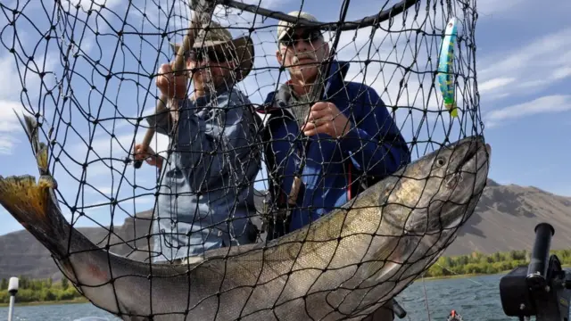 ชาวประมงกับแซลมอน